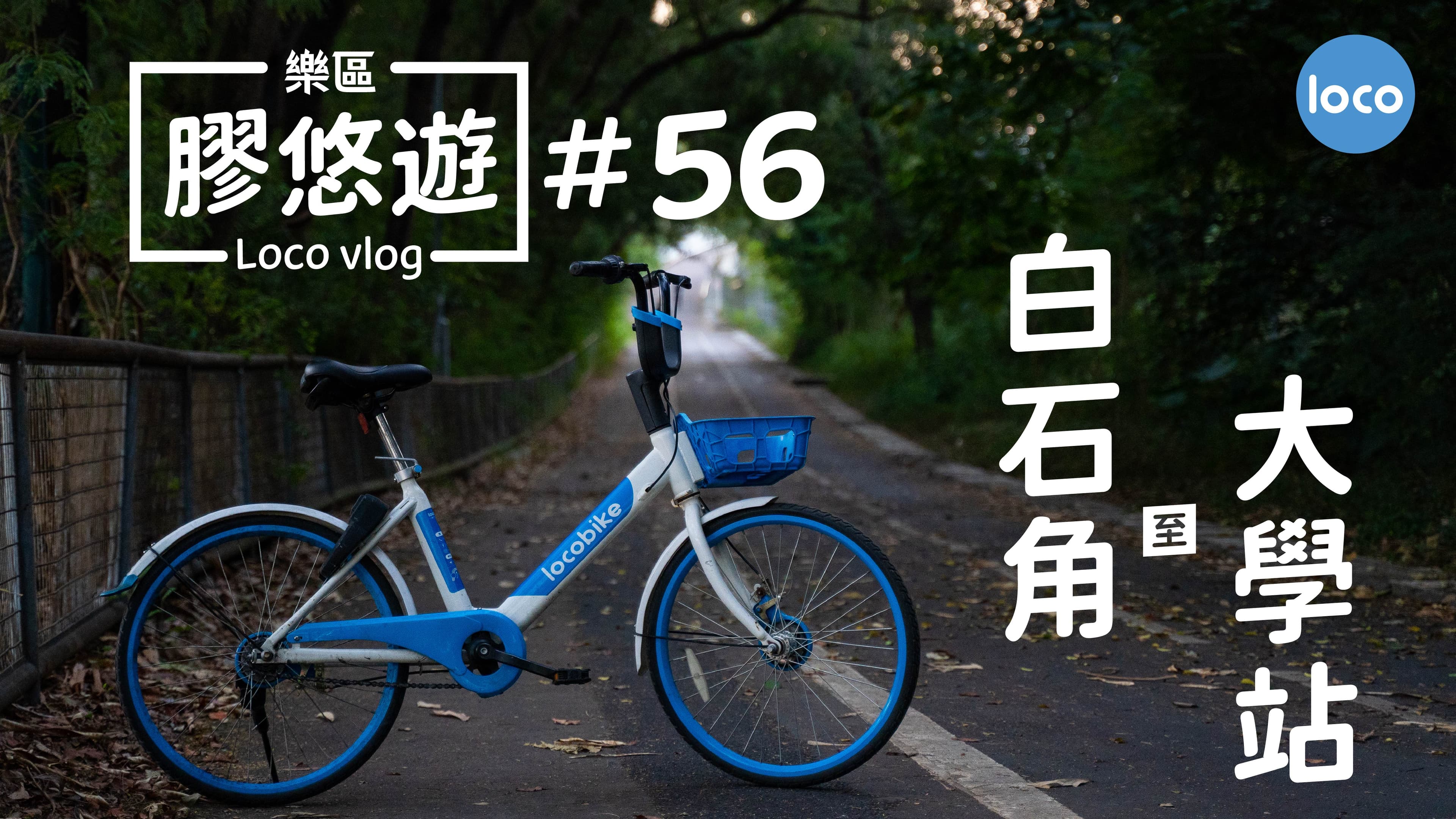 Cycling route from Pok Yin Road, Pak Shek Kok to University Station