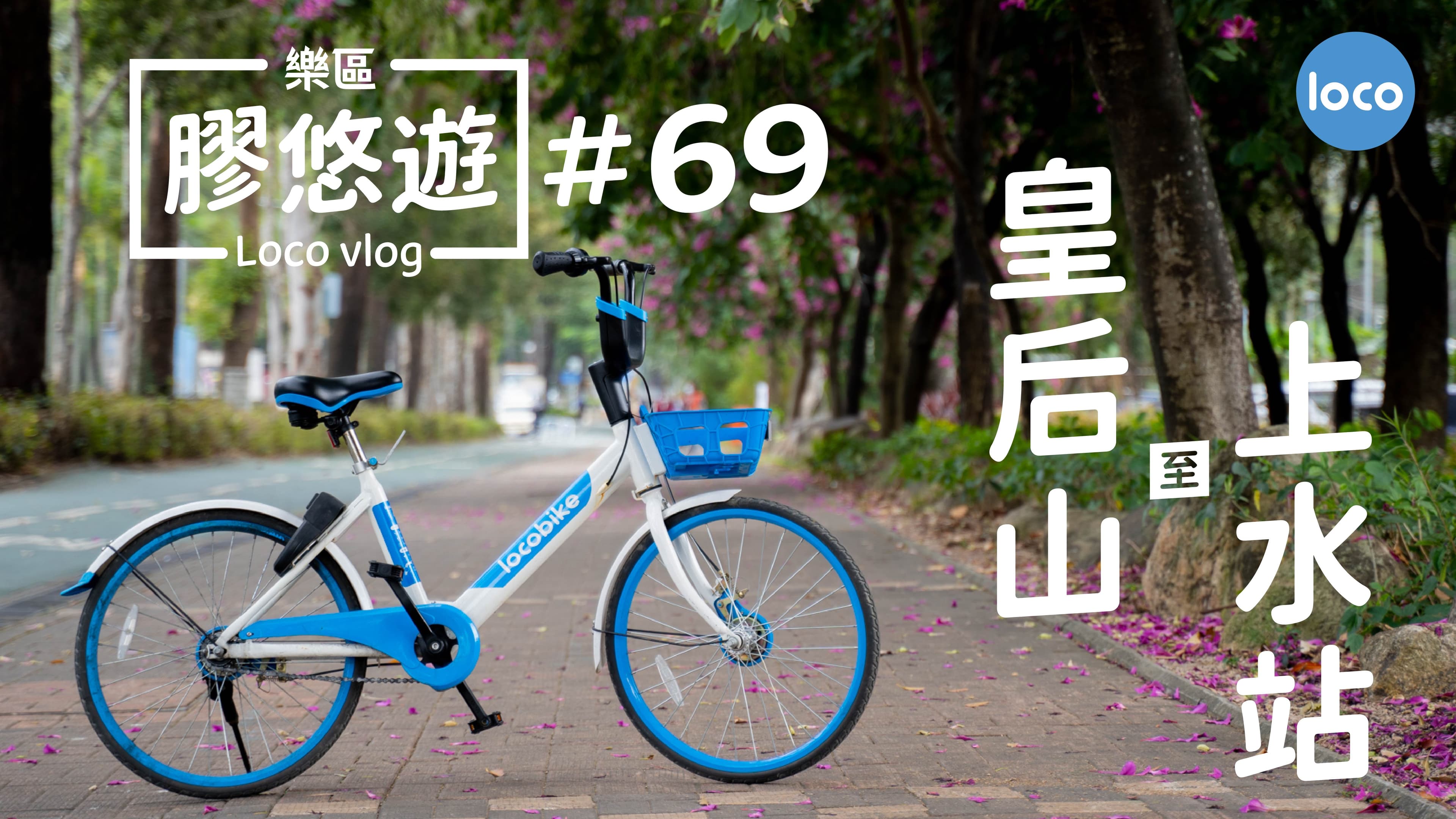 Cycling route from Queen's Hill to Sheung Shui Station