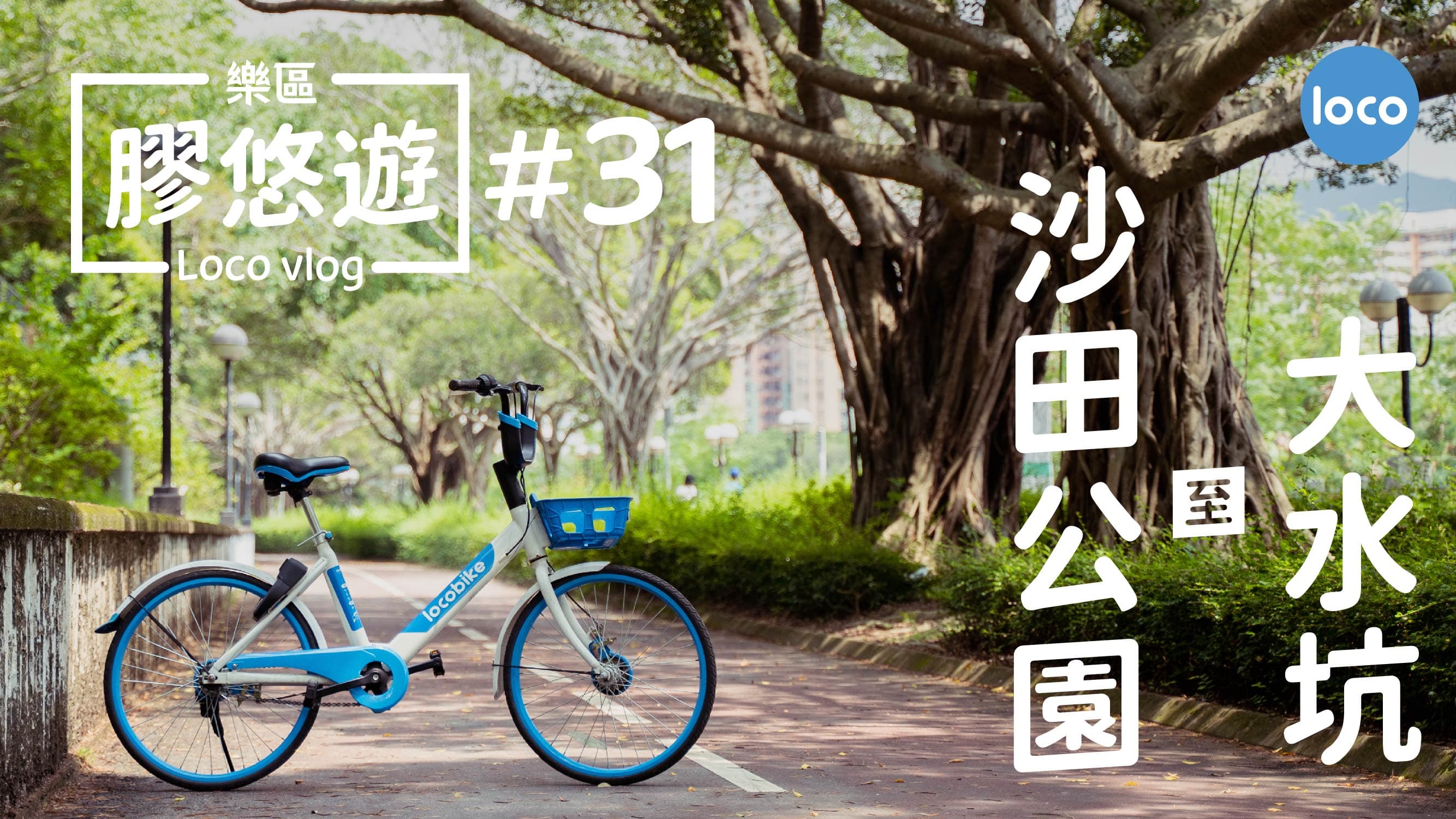 沙田公園 至 大水坑單車公園單車路線
