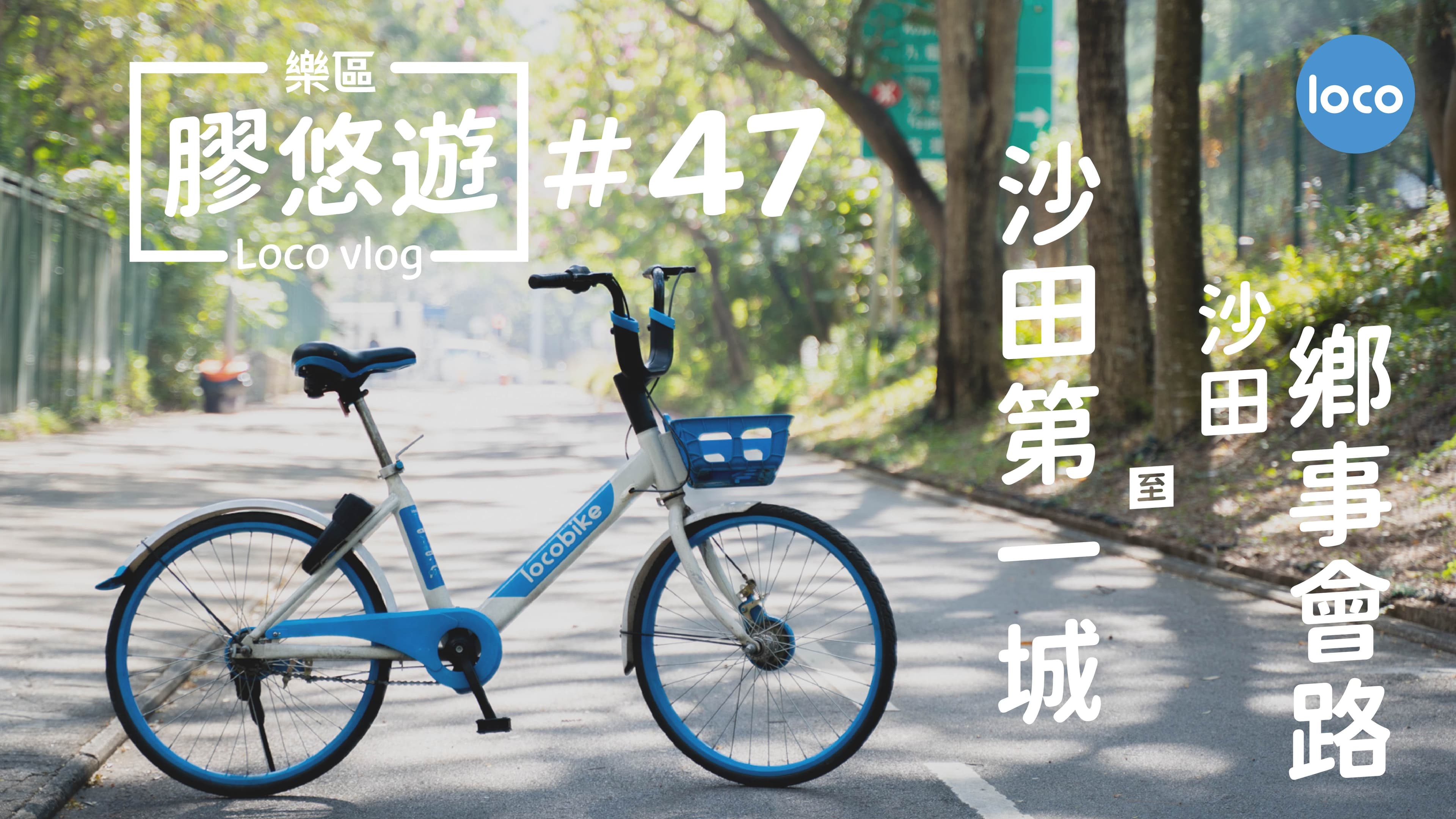 沙田第一城 至 沙田鄉事會路單車路線